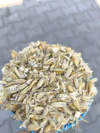 owies-gnieciony-walcowany-pasza-zboze-gesi-bydlo-konie-20kg