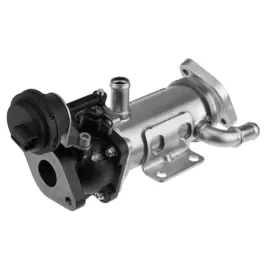chlodnica-spalin-egr-renault-espace-laguna-megane-scenic-trafic-2-0d-2005-