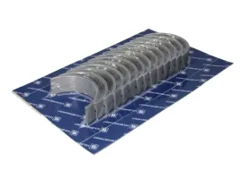 panewki-walu-korbowego-025-kpl-panewki-glowne-pasuje-do-man-e2000