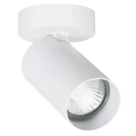 lampa-sufitowa-punktowa-regulowana-biala-reflektorek-spot-10-cm-alfa