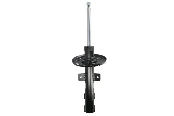 amortyzator-22-313904-bilstein