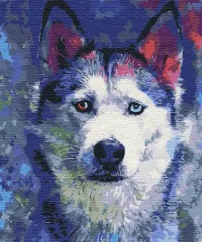 malowanie-po-numerach-paint-it-spojrzenie-40x50