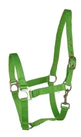 b-kantar-dla-zrebaka-z-podwojnej-nylonowej-tasmy-api-eco-zielony-foal