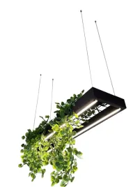 polka-wiszaca-sufitowa-90-22-6-czarna-z-led