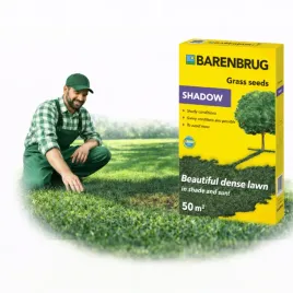 trawa-barenbrug-shadow-do-cienia-shadowandsun-nasiona-traw-na-cien-slonce-1kg