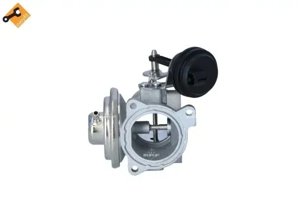 zawor-egr-48333-nrf