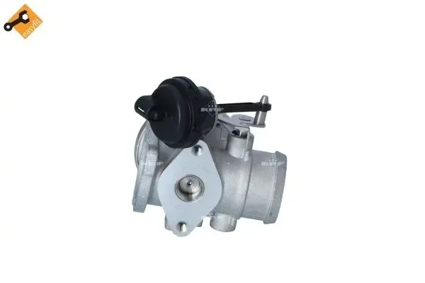 zawor-egr-48333-nrf