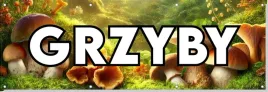 baner-reklamowy-oczkowany-lesne-grzyby-budynek-plot-stoisko-stelaz-150-cm