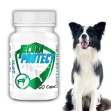 game-dog-flora-protect-60-kaps-probiotyk