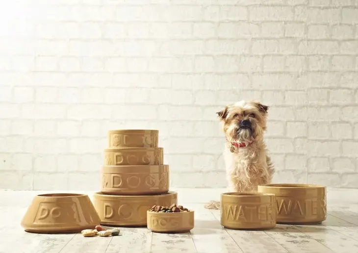 mc-miska-na-wode-20-cm-petware-cane-nazwa-handlowa-petware