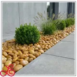 thassos-otoczak-dekor-6-10cm-snieznobialy-10kg-waga-10-kg