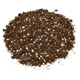 podloze-bigos-5l-ziemia-premium-do-kwiatow-doniczkowych-monster-palm