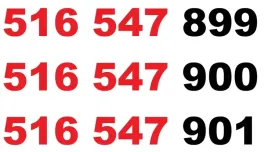 zloty-numer-516-547-899-516-547-900-516-547-901-starter-orange