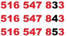 zloty-numer-516-547-833-516-547-843-516-547-853-starter-orange