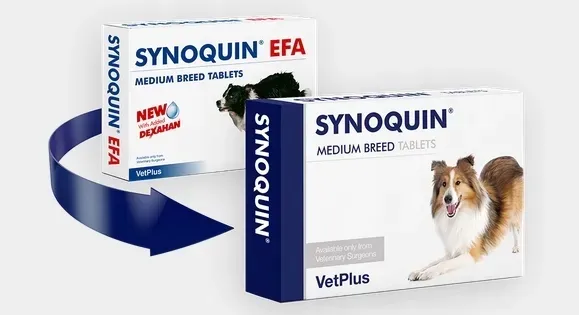 vetplus-synoquin-efa-medium-breed-30tab