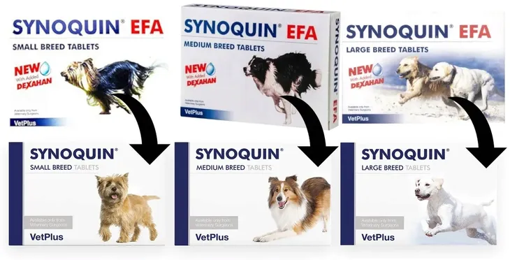 vetplus-synoquin-efa-medium-breed-30tab-postac-tabletki