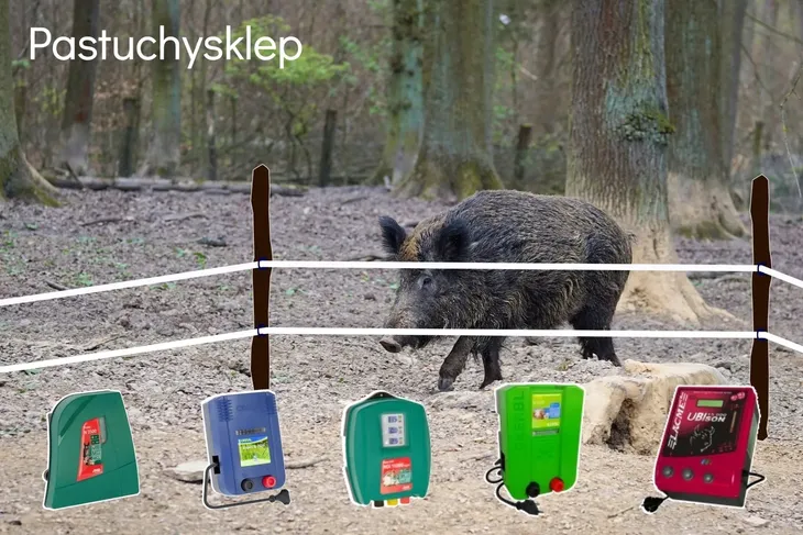 tasma-basic-200m-40mm-biala-rodzaj-tasma