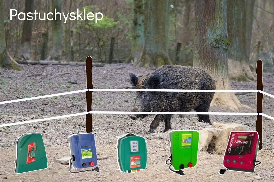 tasma-basic-200m-40mm-biala