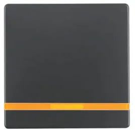 berker-q-1-q-3-klawisz-pojedynczy-z-podswietleniem-antracyt-16216086