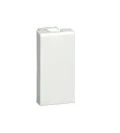 legrand-mosaic-zaslepka-1-modul-biala-077070