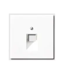 jung-plytka-centralna-rj11-rj45-bialy-ls969-1uaww