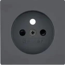 berker-q-1-q-3-plytka-do-gniazda-one-platform-3965766086