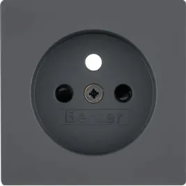 berker-q-1-q-3-plytka-do-gniazda-one-platform-3965766076