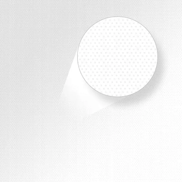 zestaw-z-tlem-baselstudio-2x-octa-60cm-150w-led-liczba-zrodel-swiatla-2