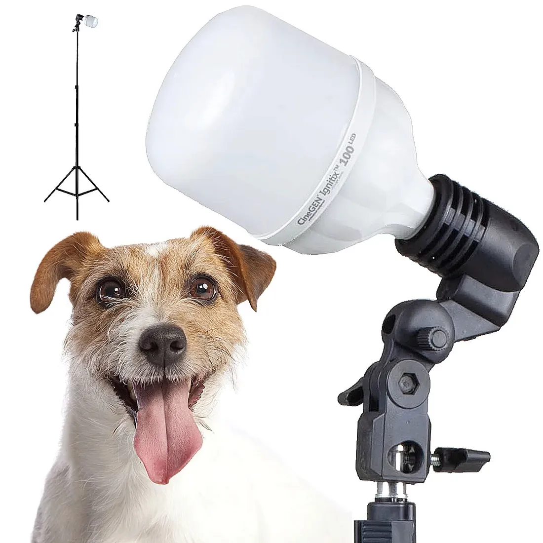 studyjna-lampa-led-statyw-oprawa-zarowka
