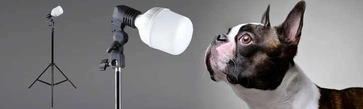 studyjna-lampa-led-statyw-oprawa-zarowka-temperatura-barwowa-5500-k