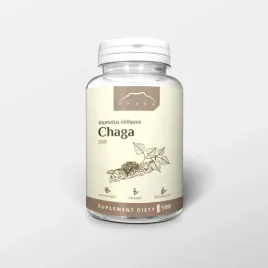 nanga-chaga-ekstrakt-100-kapsulek-x-300mg