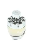 afnan-rare-carbon-edp-100ml-grupa-zapachowa-orientalna
