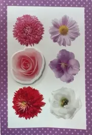 crelando-kartka-okolicznosciowa-z-koperta-115x17-cm-kwiaty