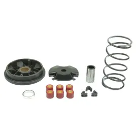 wariator-athena-do-aprilia-benelli-beta-italjet-ktm-mbk-malagut