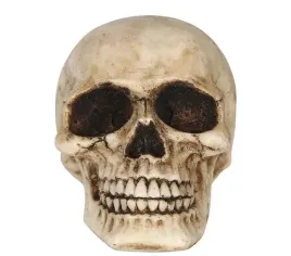 czaszka-z-zywicy-8-cm-czacha-szkieleta-szkieletor-kosciotrup-halloween