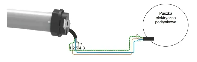 naped-exalus-ssr-bidi-40-10