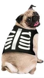 stroj-stroj-dla-psa-szkielet-size-s-akcesoria-zwierzeta-szkieletor