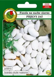 ekologiczne-nasiona-bialej-fasoli-do-ogrodu-pnos-fasola-piekny-jas-50g