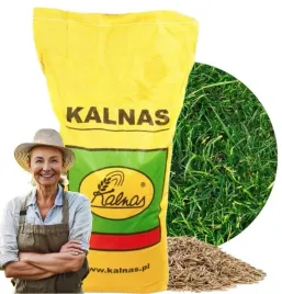 trawa-uniwersalna-kalnas-5kg-trawnik-nasiona-trawy