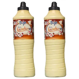 sos-polewa-do-lodow-dijo-topping-2kg-krowka-fudge
