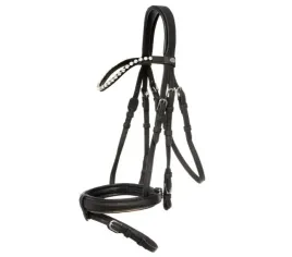 oglowie-kavalkade-anatomiczne-cortica-angielski-3-full