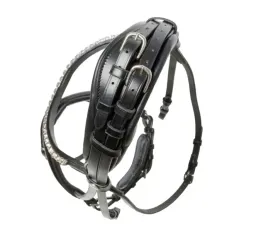 oglowie-kavalkade-fortuna-szwedzki-2-czarny-cob