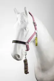 horze-kantar-z-uwiazem-graffiti-pony-rozowy