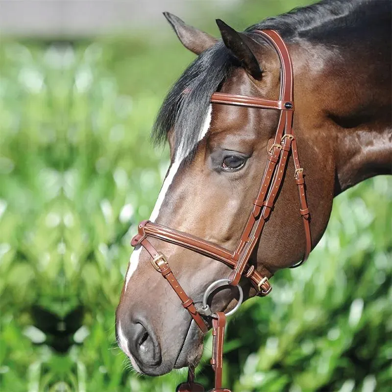 oglowie-kavalkade-lorenz-1-pony-brazowy-stan-nowy