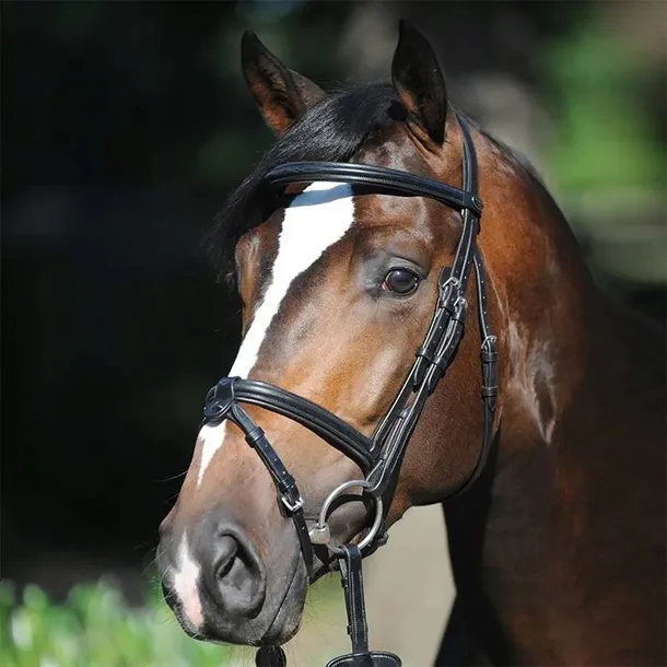 oglowie-kavalkade-lorenz-1-pony-brazowy-rozmiar-1-pony