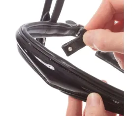 oglowie-kavalkade-reyna-2-anatomiczne-cob