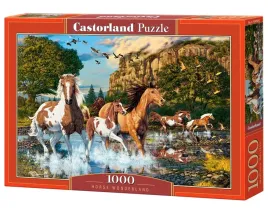 puzzle-castorland-superpuzzle-pl-1000-elementow-puzzle-1000-el