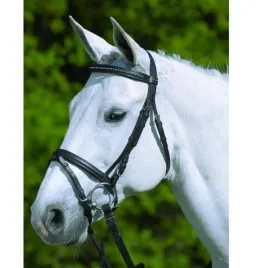 oglowie-star-diamant-angielski-2-cob