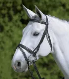 oglowie-star-diamant-angielski-2-cob-stan-nowy