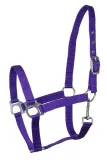 kantar-api-eco-fiolet-pony